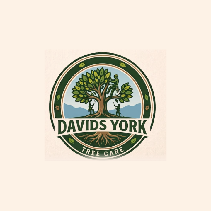 Davids logo